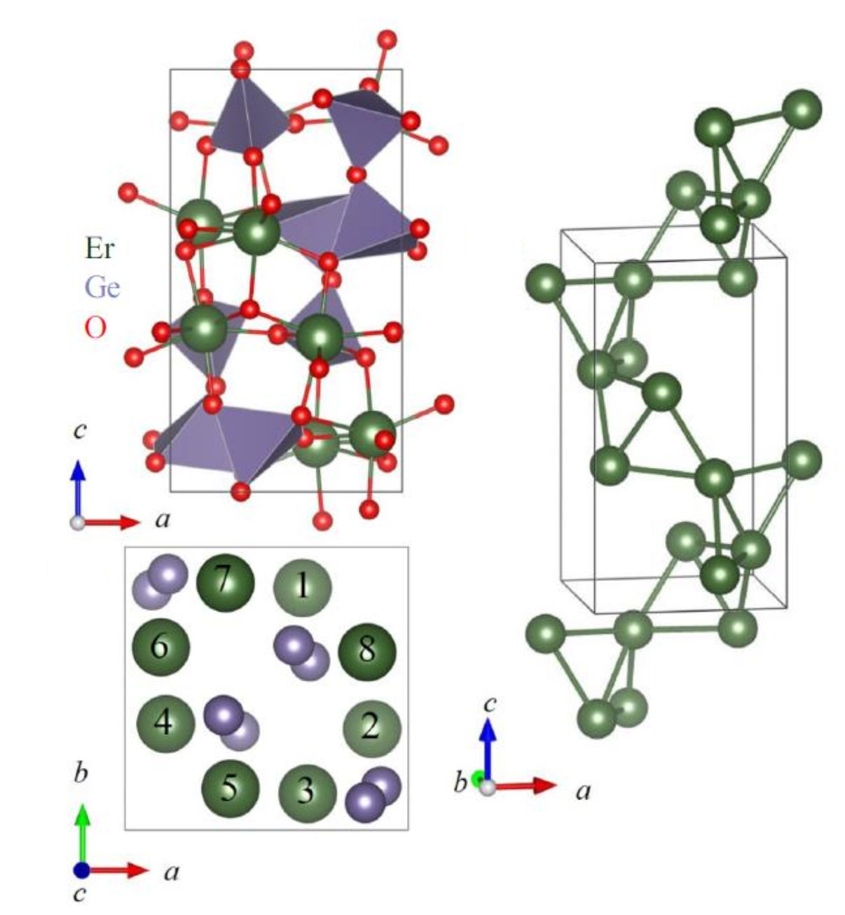 nuclear structure